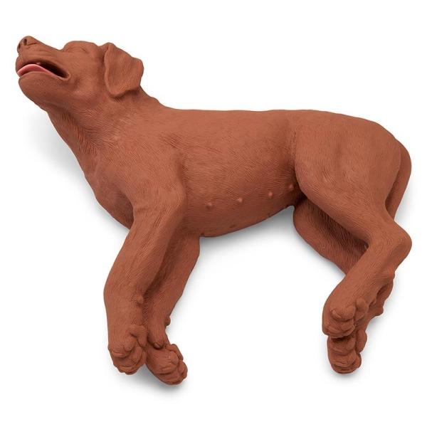 Erler Zimmer - HLW Übungshund CasPeR